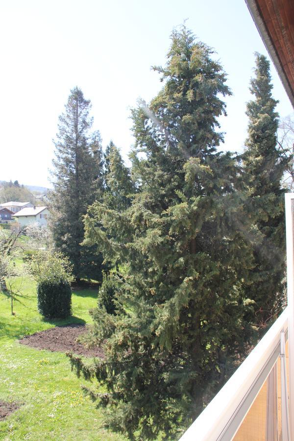Hotel Restaurant Le Panorama Neuvecelle Εξωτερικό φωτογραφία